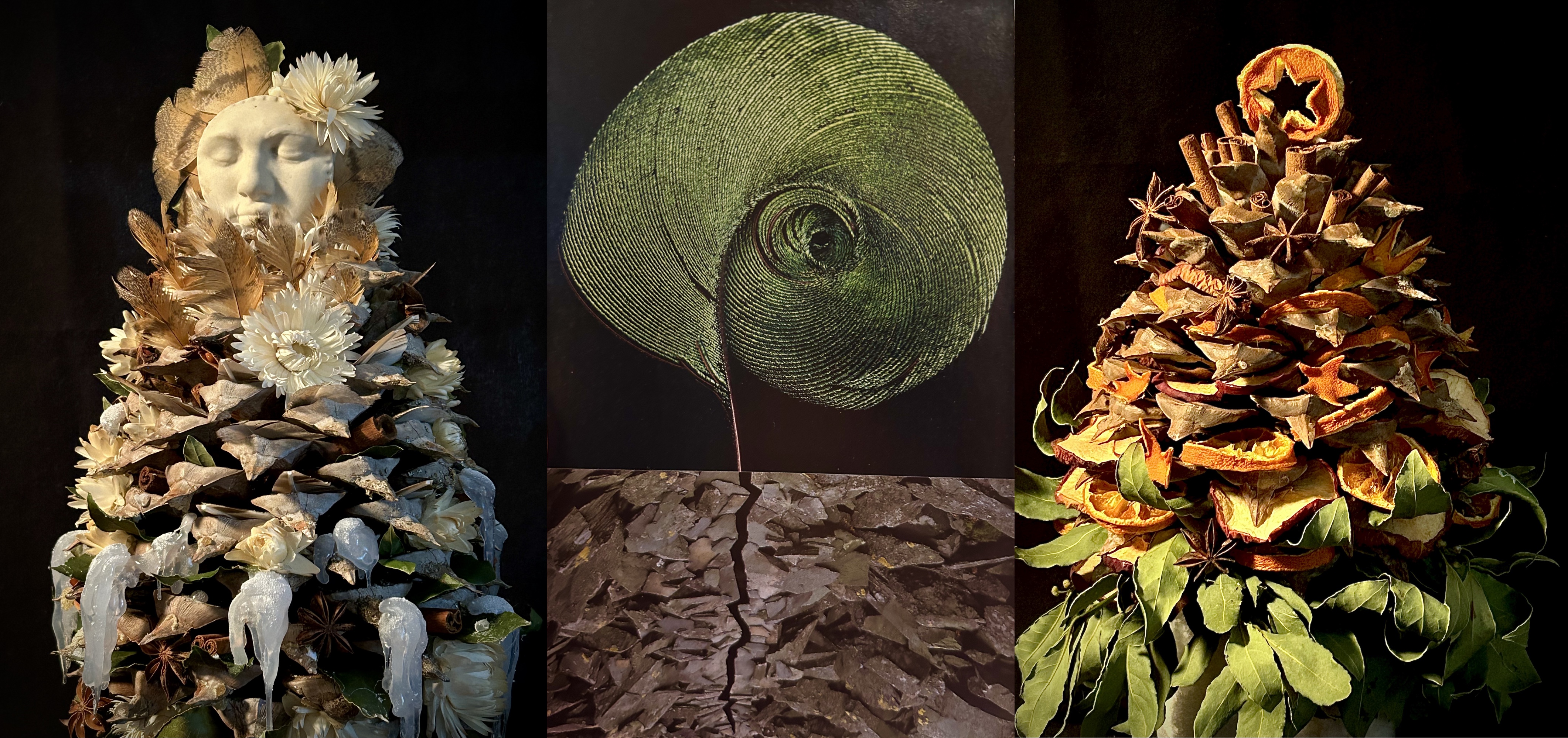 3 image collage. image 1: Coulter pinecone with dried oranges, & apples, dried flowers, & bay leaves. image 2: a collage titled 'when the black rock opens'. artist statement on the piece: ntentional Collage: seeds have been planted in the line of the future. There is a promise of what will be growing when it is time for us to understand. image 3: Coulter pinecone with feathers, moon, snail shell, dried flowers, spices, bay leaves, and found sculpted porcelain face.